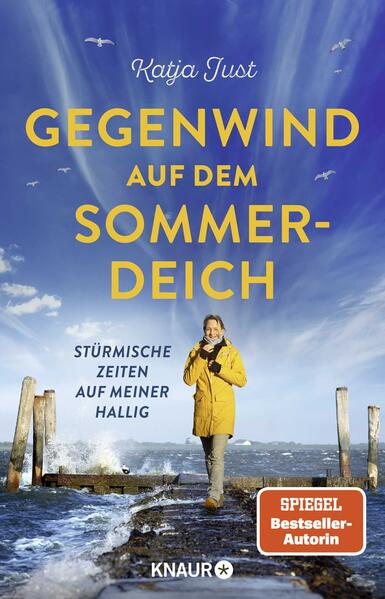 Produktbild: Gegenwind auf dem Sommerdeich | Katja Just