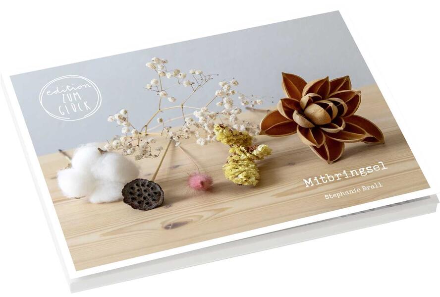 Produktbild: Mitbringsel - Postkartenbuch | Stephanie Brall