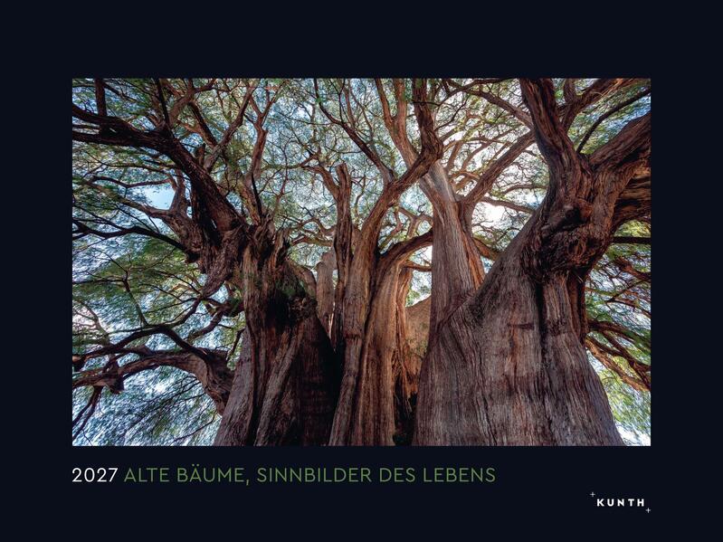 Produktbild: Alte Bäume, Sinnbilder des Lebens - KUNTH Wandkalender 2027