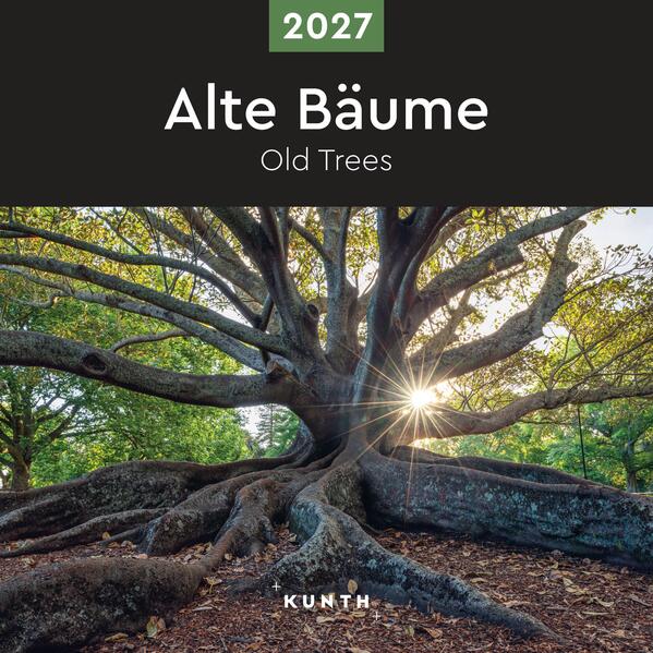 Produktbild: Alte Bäume - KUNTH Broschurkalender 2027