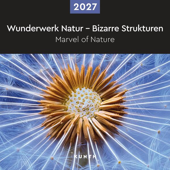Produktbild: Wunderwerk Natur - Bizarre Strukturen - KUNTH Broschurkalender 2027