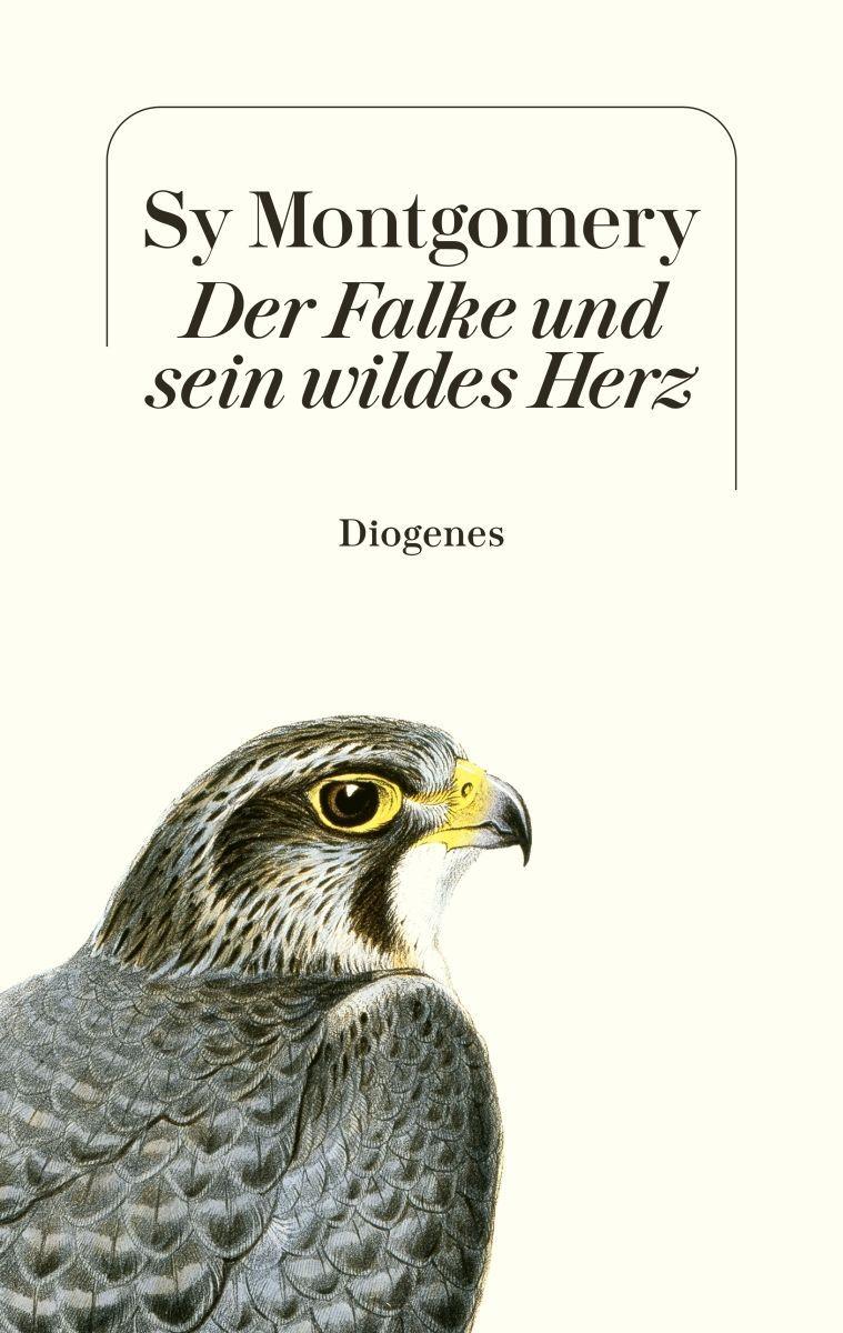 Produktbild: Der Falke und sein wildes Herz | Sy Montgomery