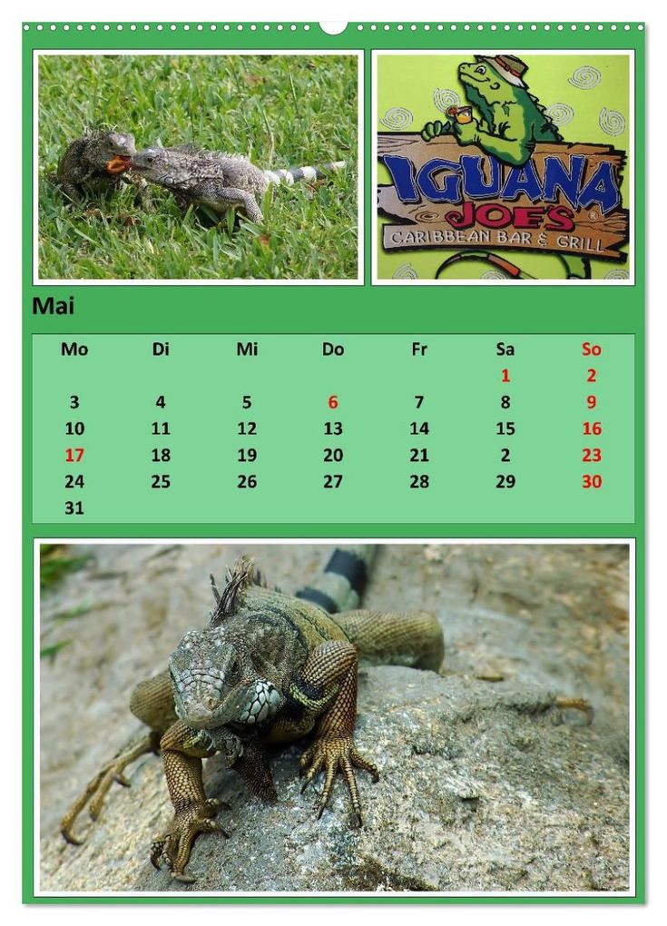 Weitere Ansicht: Karibik - Eindrücke einer Kreuzfahrt (Wandkalender 2027 DIN A2 hoch), CALVENDO Monatskalender | Calvendo, Rolf Frank