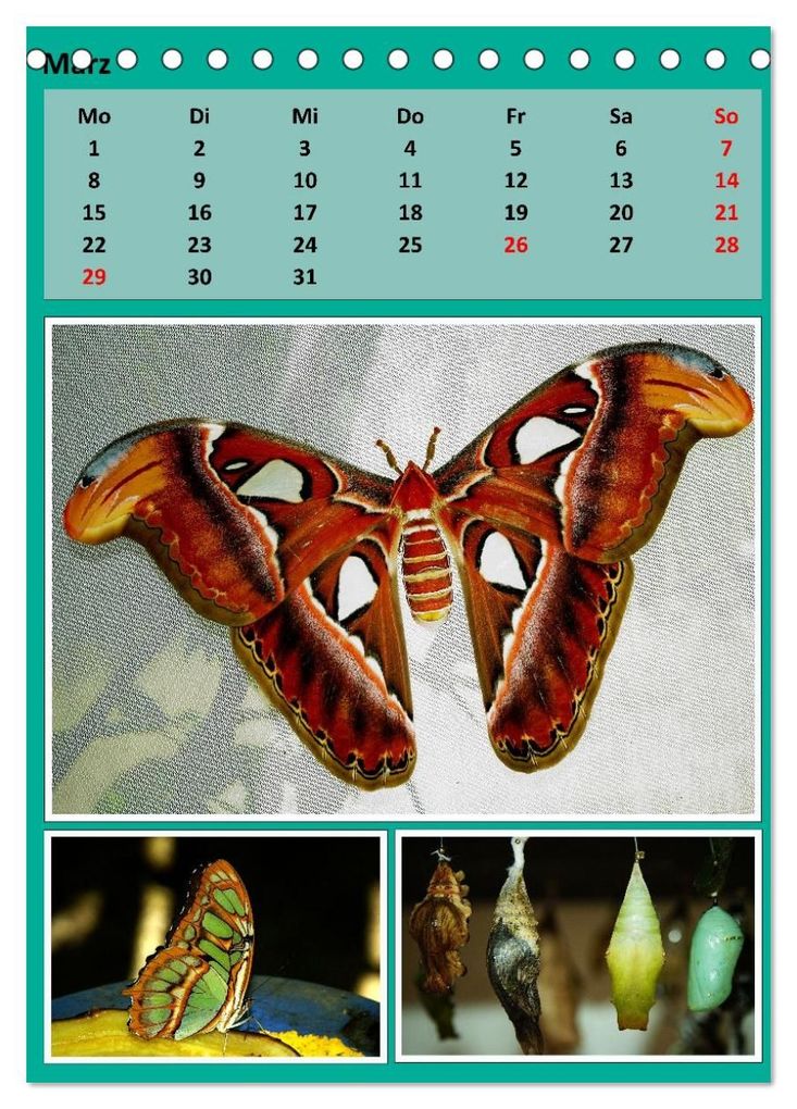 Weitere Ansicht: Karibik - Eindrücke einer Kreuzfahrt (Tischkalender 2027 DIN A5 hoch), CALVENDO Monatskalender | Calvendo, Rolf Frank