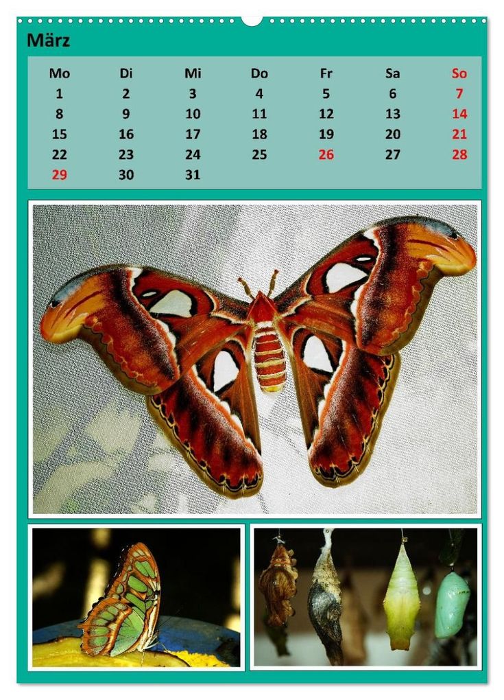 Weitere Ansicht: Karibik - Eindrücke einer Kreuzfahrt (hochwertiger Premium Wandkalender 2027 DIN A2 hoch), Kunstdruck in Hochglanz | Calvendo, Rolf Frank