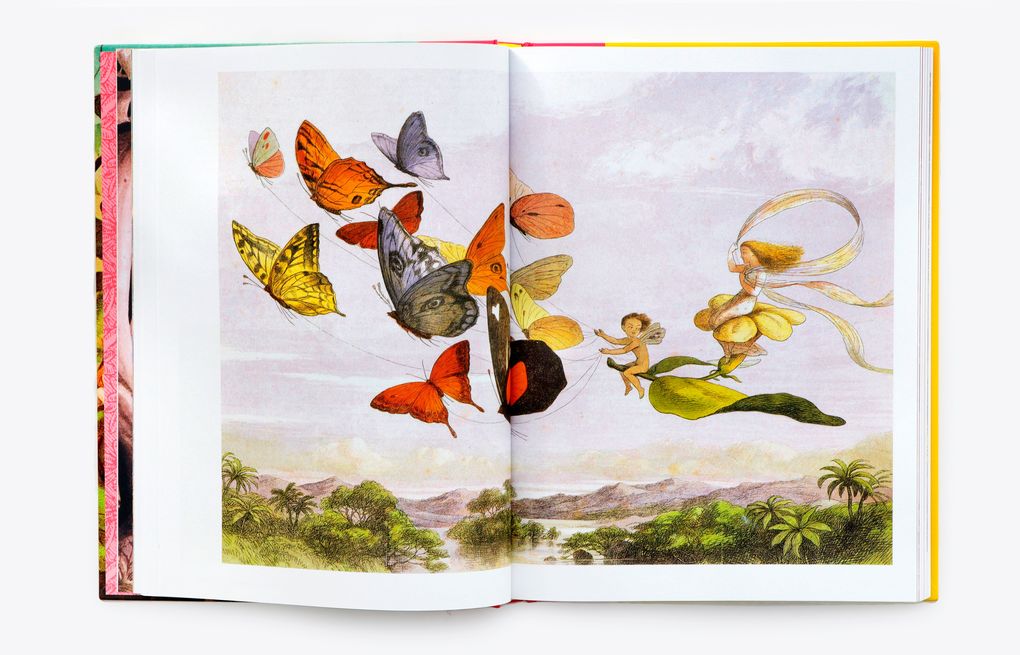 Weitere Ansicht: Die Kunst der Märchenillustration | Joanna Ebenstein