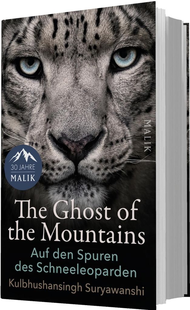 Weitere Ansicht: The Ghost of the Mountains | Kulbhushansingh Suryawanshi