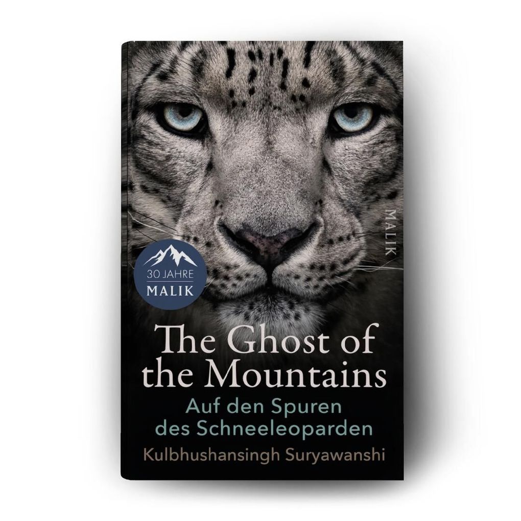Weitere Ansicht: The Ghost of the Mountains | Kulbhushansingh Suryawanshi