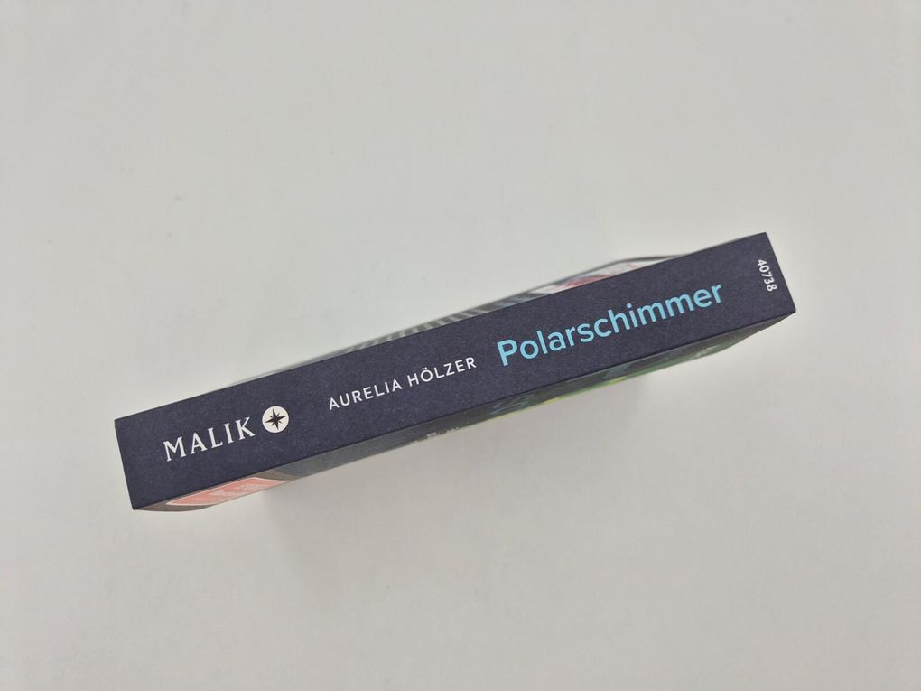 Weitere Ansicht: Polarschimmer | Aurelia Hölzer