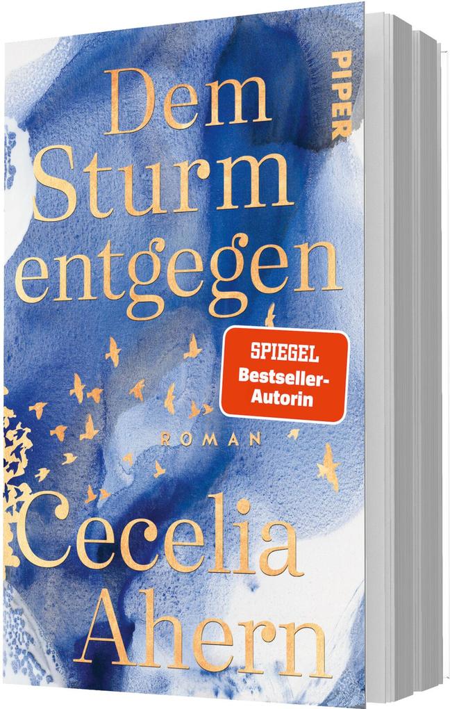 Weitere Ansicht: Dem Sturm entgegen | Cecelia Ahern