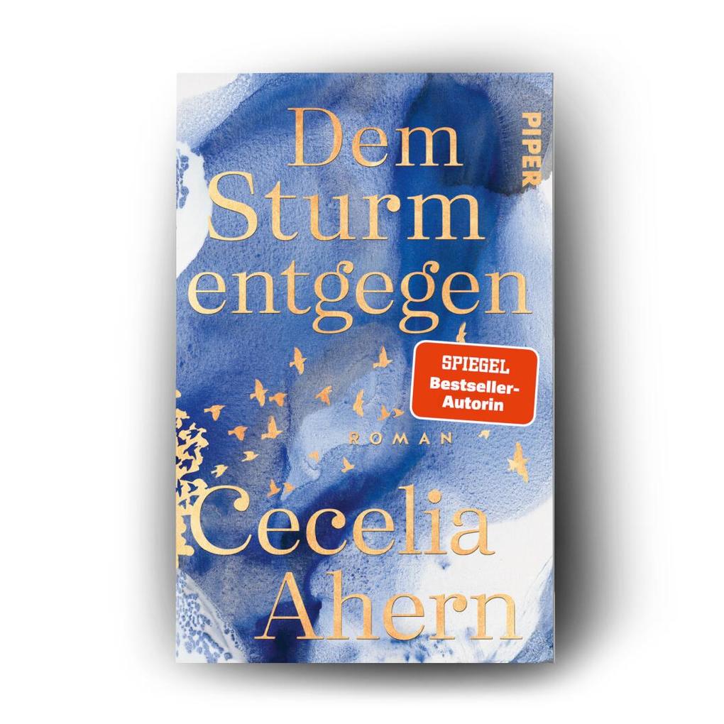 Weitere Ansicht: Dem Sturm entgegen | Cecelia Ahern