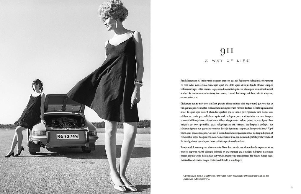 Weitere Ansicht: The Stylish Life Porsche