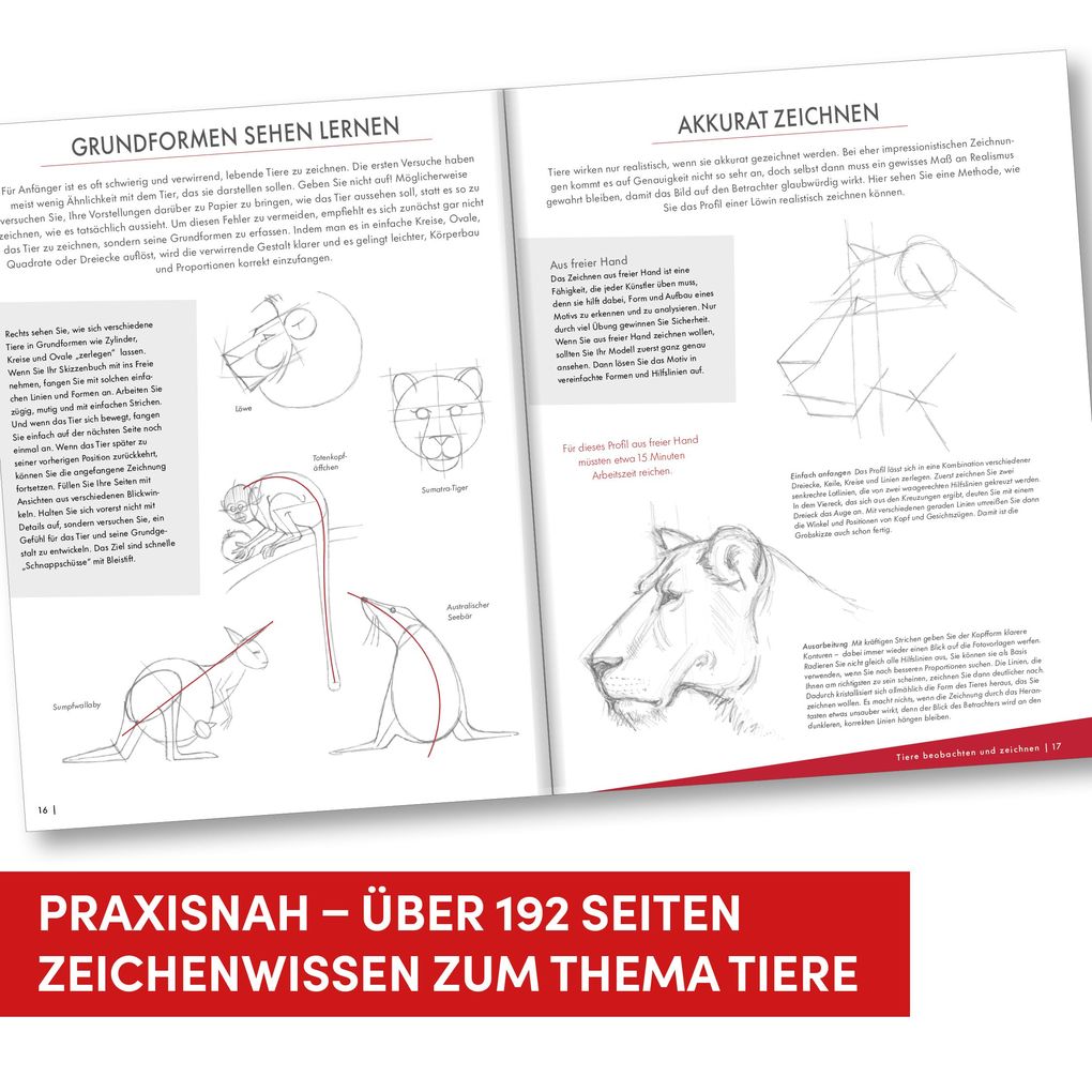 Weitere Ansicht: Die Kunst des Zeichnens Tiere | Frechverlag
