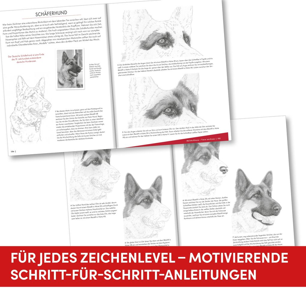 Weitere Ansicht: Die Kunst des Zeichnens Tiere | Frechverlag