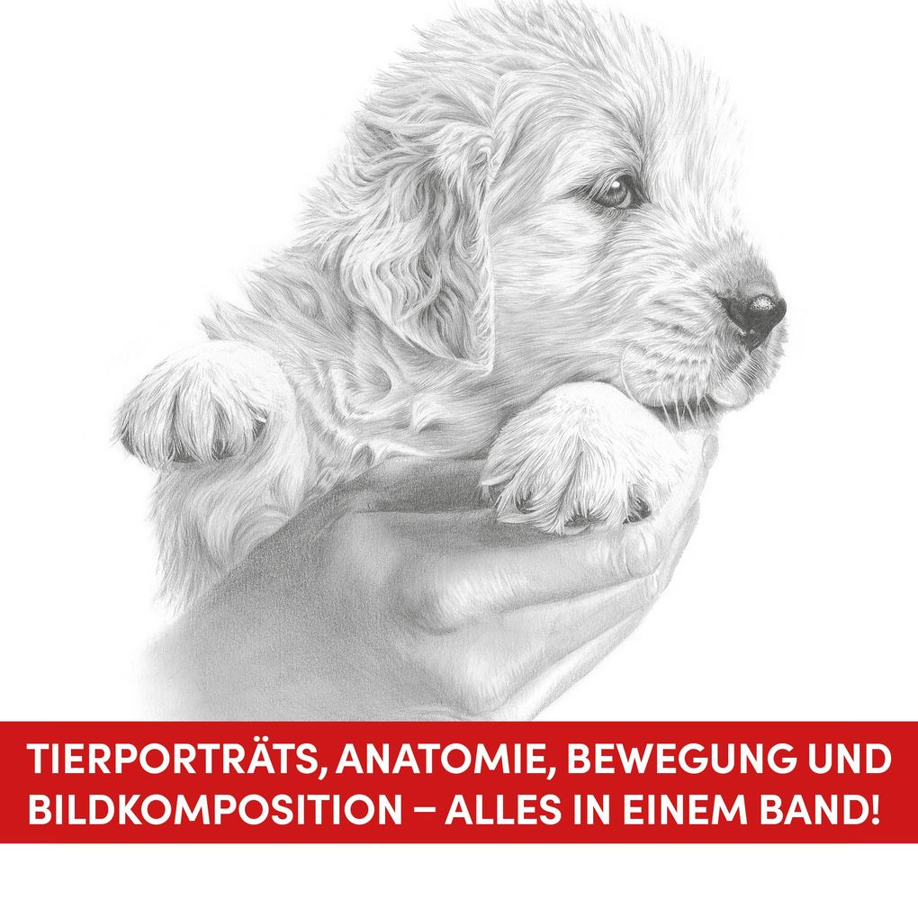 Weitere Ansicht: Die Kunst des Zeichnens Tiere | Frechverlag