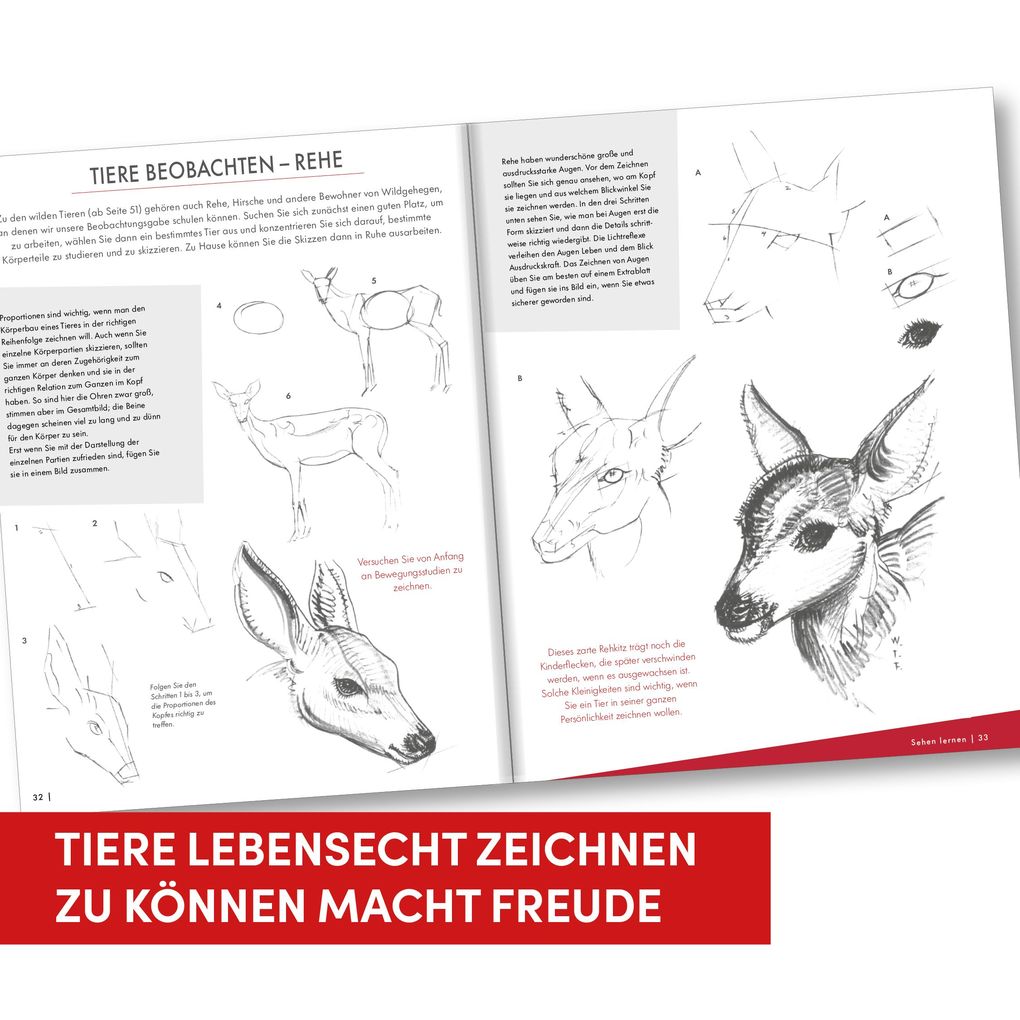 Weitere Ansicht: Die Kunst des Zeichnens Tiere | Frechverlag