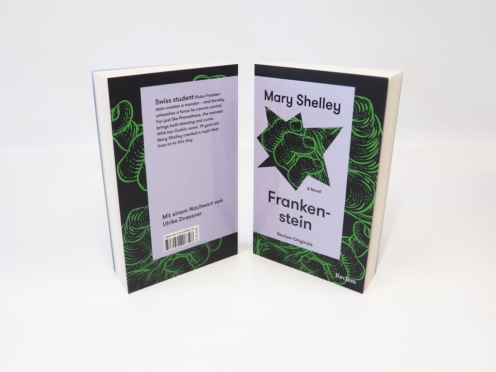 Weitere Ansicht: Frankenstein | Mary Shelley