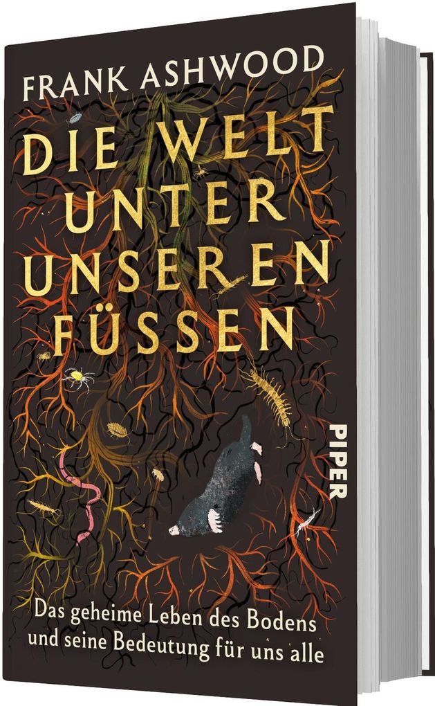 Weitere Ansicht: Die Welt unter unseren Füßen | Frank Ashwood