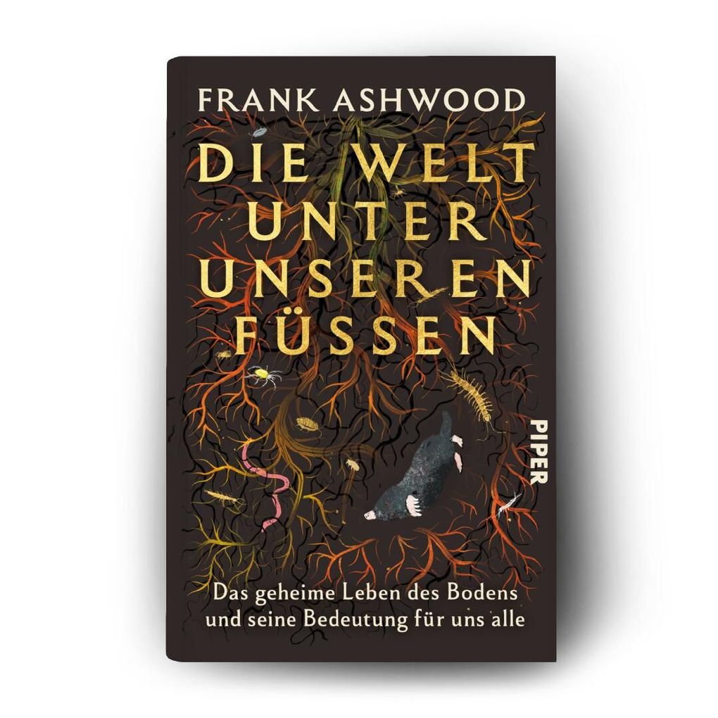 Weitere Ansicht: Die Welt unter unseren Füßen | Frank Ashwood