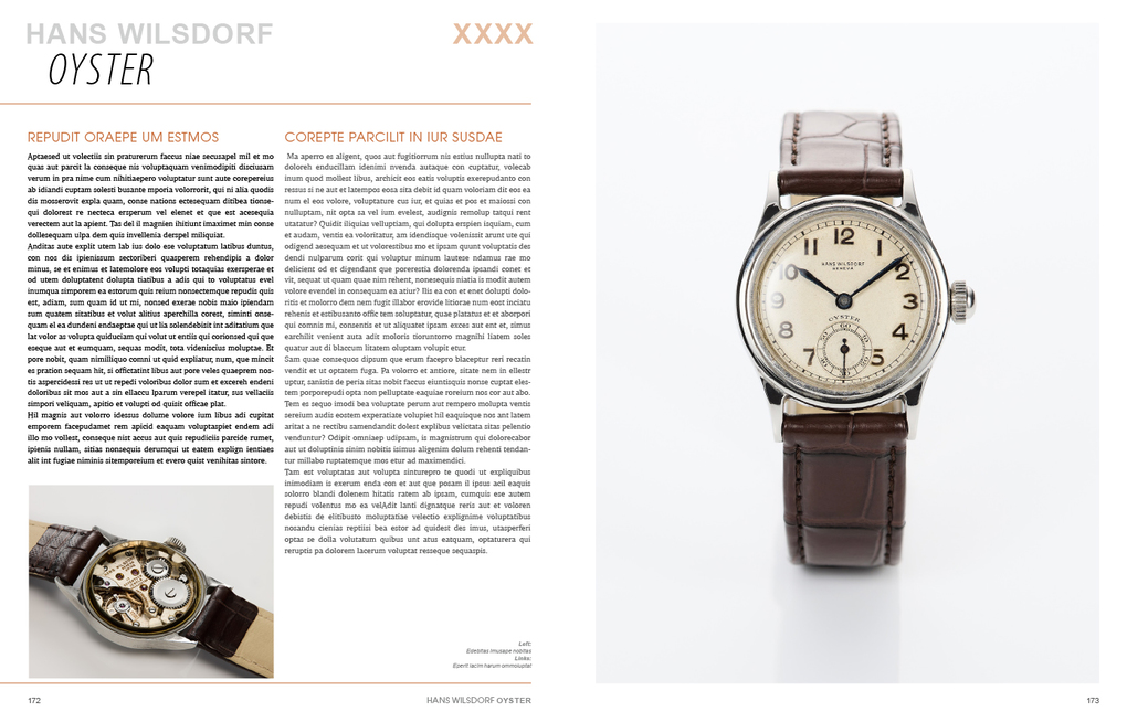 Weitere Ansicht: 100 Iconic Rolex | Gisbert L. Brunner