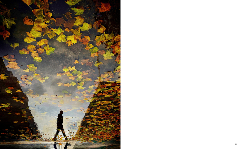 Weitere Ansicht: The Art of Solitude | Mark Fearnley