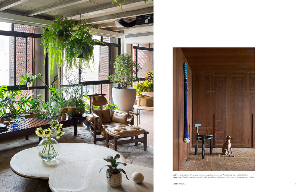 Weitere Ansicht: Brazil Living