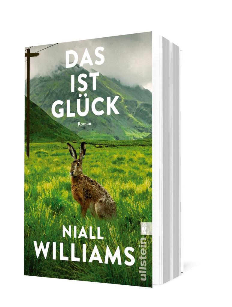 Weitere Ansicht: Das ist Glück | Niall Williams