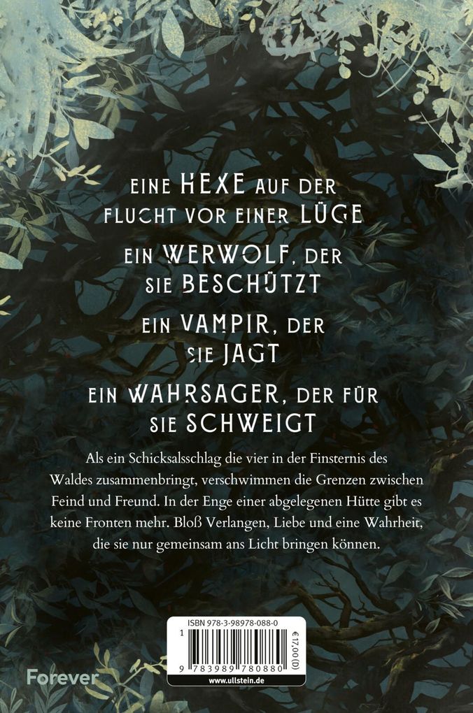 Weitere Ansicht: Chased by Sins and Sorrows | Ophelia L. Nightfall