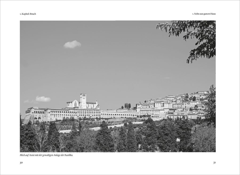 Weitere Ansicht: Franz von Assisi | Volker Leppin