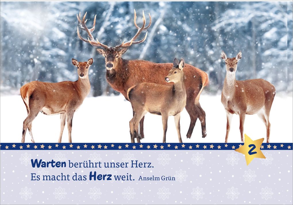 Weitere Ansicht: Hosentaschenadventskalender 2026 - mit Fotos | Anselm Grün