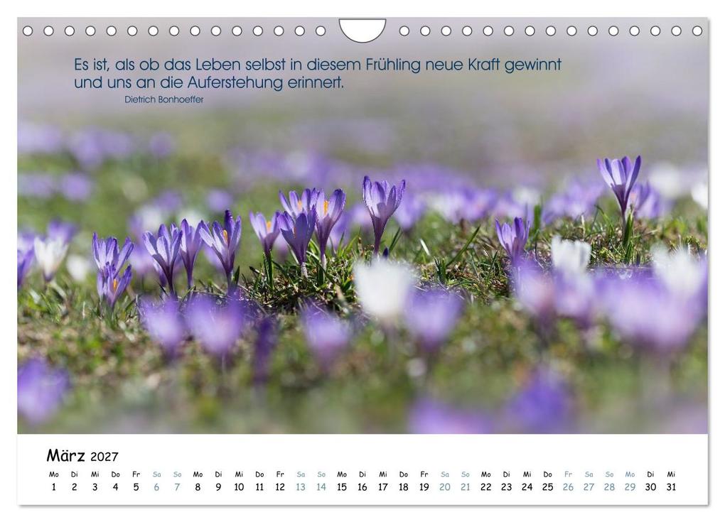 Weitere Ansicht: Christliche Bildpoesie 2027 (Wandkalender 2027 DIN A4 quer), CALVENDO Monatskalender | Calvendo, SusaZoom, SusaZoom SusaZoom