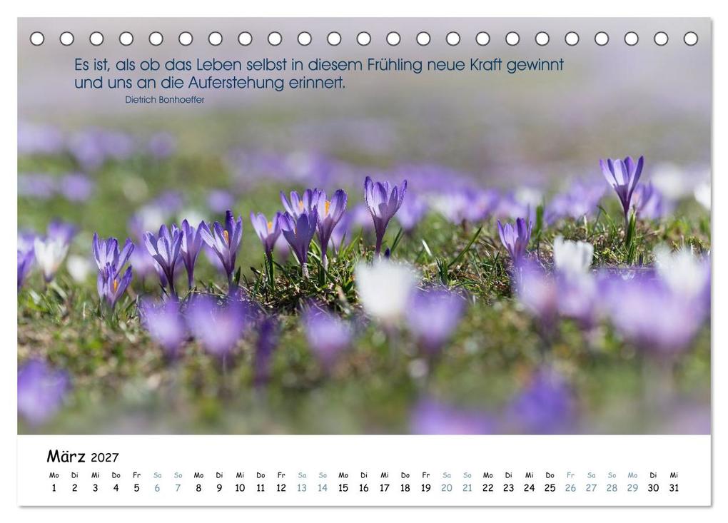 Weitere Ansicht: Christliche Bildpoesie 2027 (Tischkalender 2027 DIN A5 quer), CALVENDO Monatskalender | Calvendo, SusaZoom, SusaZoom SusaZoom