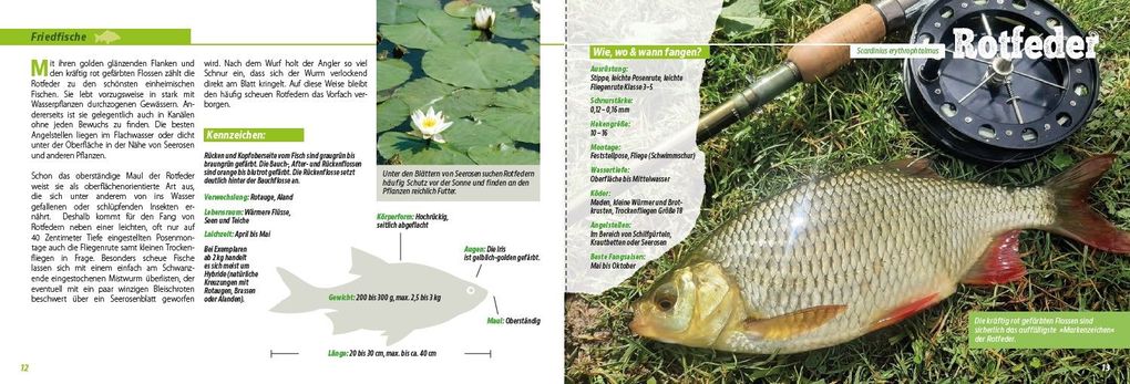 Weitere Ansicht: Angler-Lexikon der Süßwasserfische | Frank Weissert