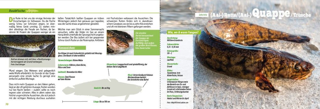 Weitere Ansicht: Angler-Lexikon der Süßwasserfische | Frank Weissert