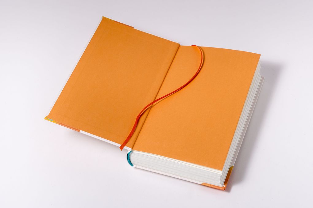 Weitere Ansicht: Das Buch meines Lebens haben Klügere geschrieben | Hubertus Meyer-Burckhardt