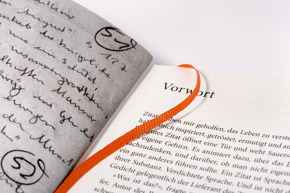 Weitere Ansicht: Das Buch meines Lebens haben Klügere geschrieben | Hubertus Meyer-Burckhardt