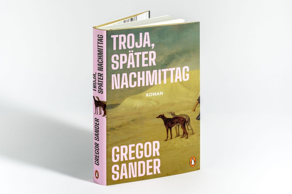 Weitere Ansicht: Troja, später Nachmittag | Gregor Sander