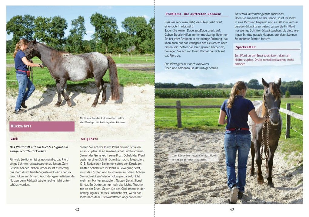 Weitere Ansicht: Zirkuslektionen mit Spaß und System | Annika Markgraf