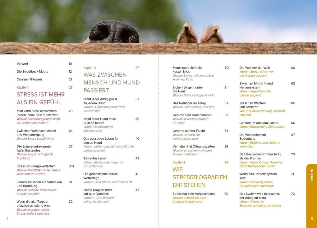 Weitere Ansicht: Stress beim Hund verstehen | Sophie Strodtbeck