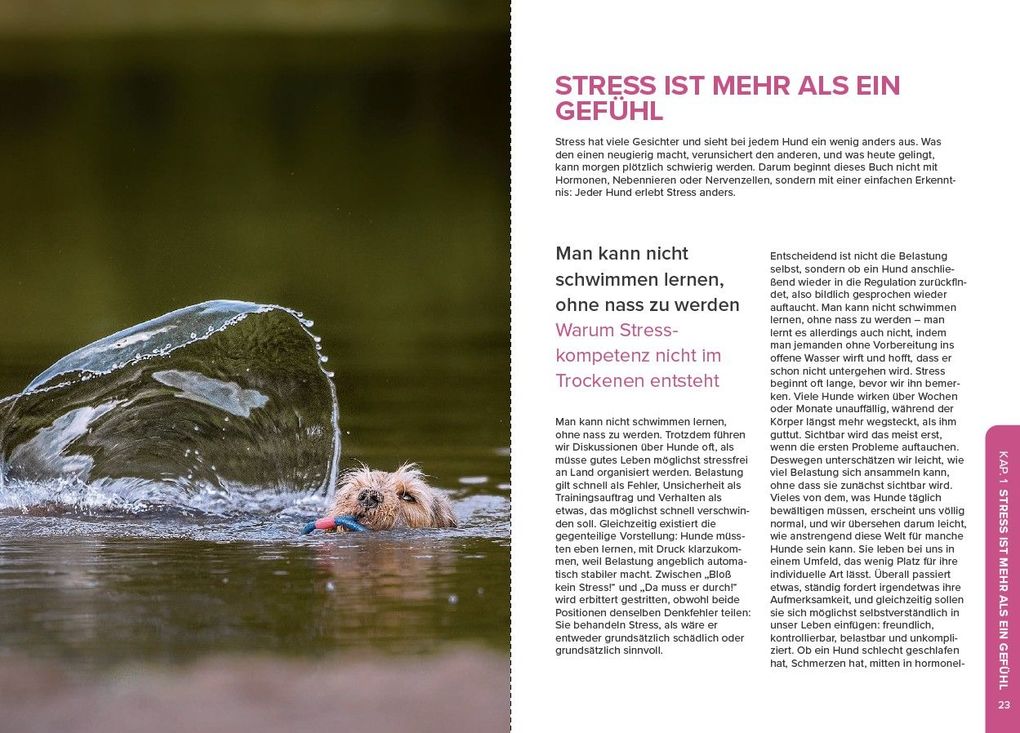 Weitere Ansicht: Stress beim Hund verstehen | Sophie Strodtbeck