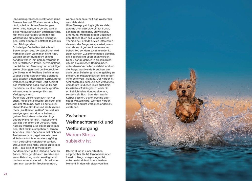 Weitere Ansicht: Stress beim Hund verstehen | Sophie Strodtbeck