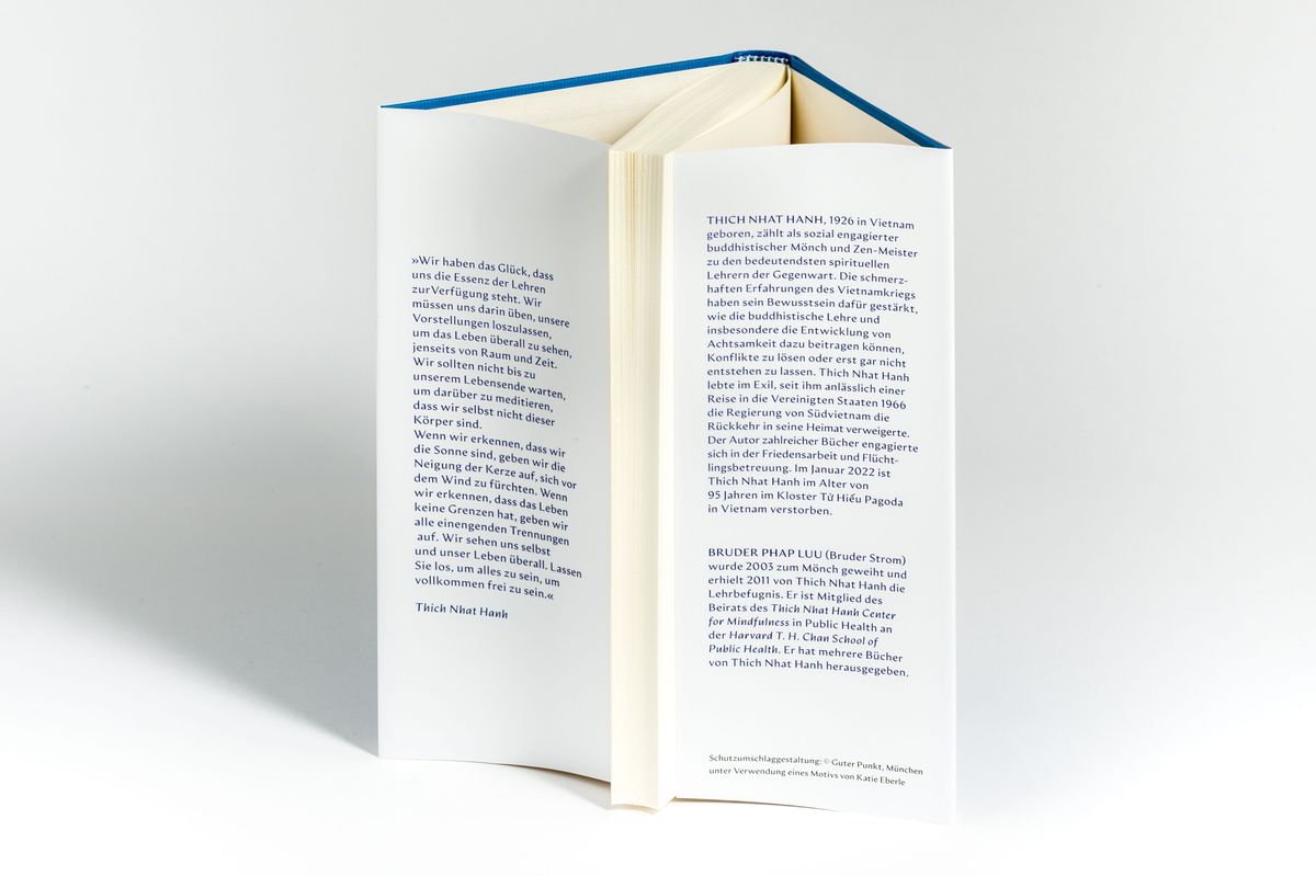Weitere Ansicht: Reinkarnation | Thich Nhat Hanh, Nhat Thich
