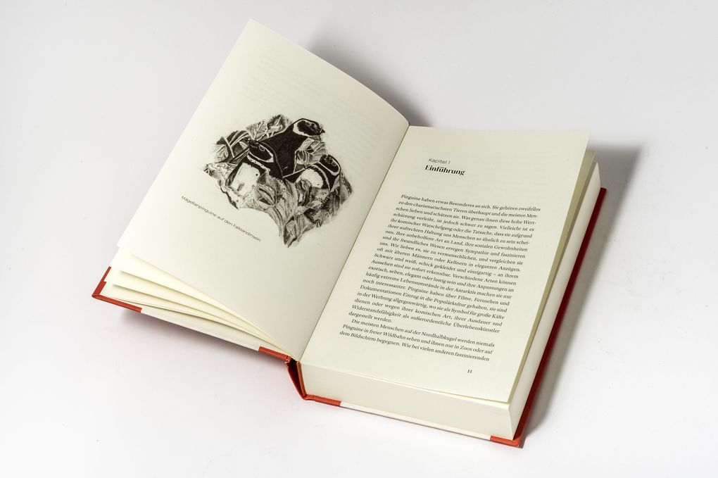Weitere Ansicht: Das kleine Buch der Pinguine | Peter Fretwell, Lisa Fretwell