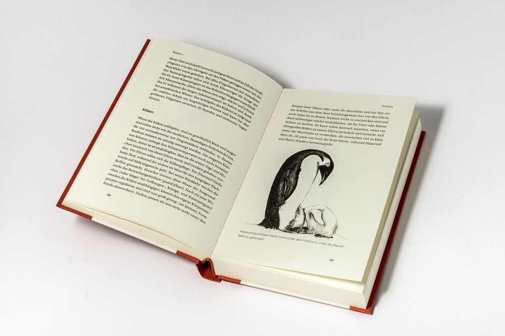 Weitere Ansicht: Das kleine Buch der Pinguine | Peter Fretwell, Lisa Fretwell