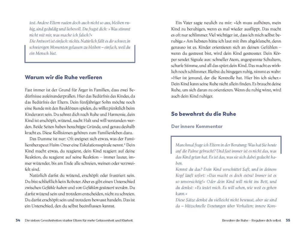 Weitere Ansicht: Eltern Survival Guide | Sebastian Reisinger