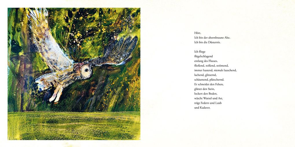 Weitere Ansicht: Das Lied der Eule | Catherine Hyde