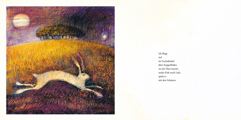 Weitere Ansicht: Das Lied der Eule | Catherine Hyde