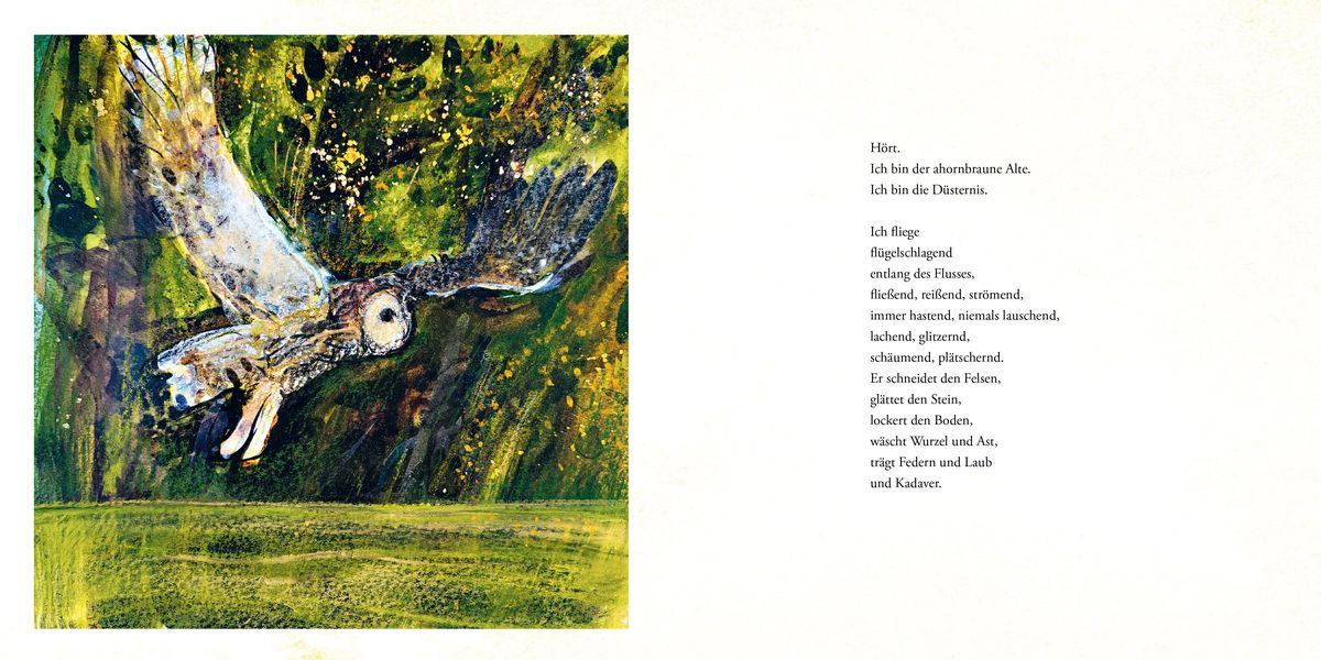 Weitere Ansicht: Das Lied der Eule | Catherine Hyde