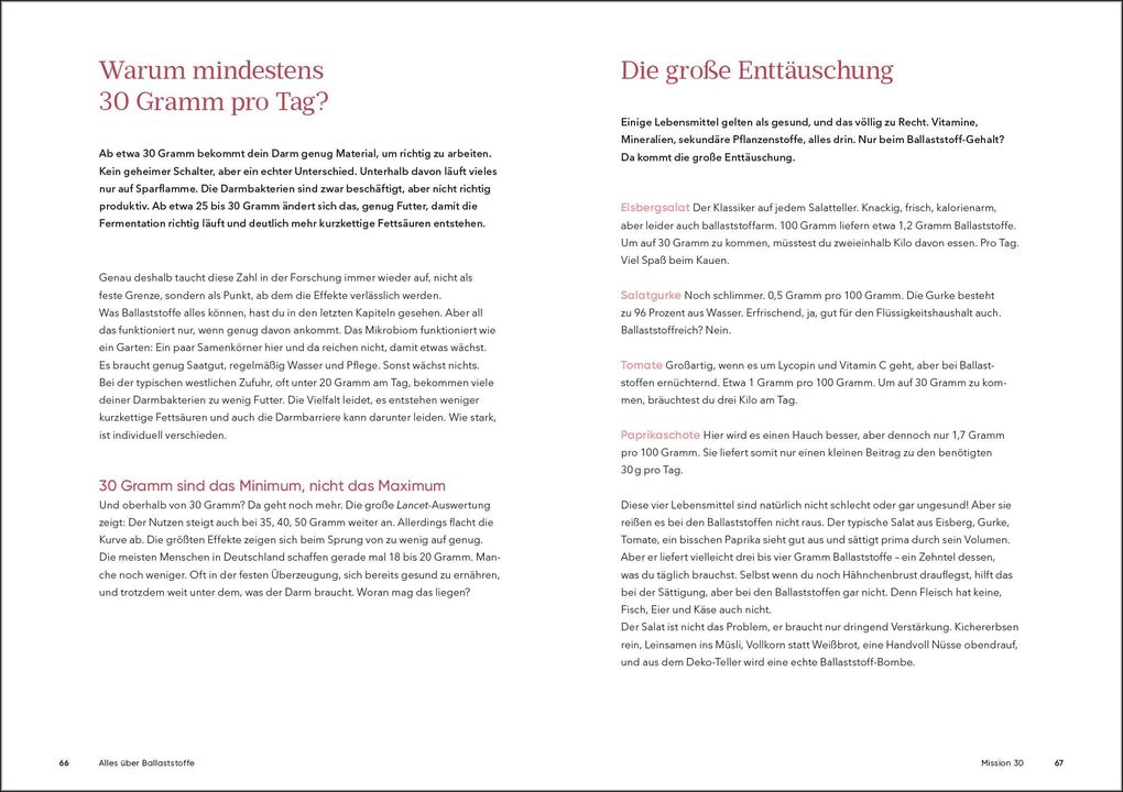 Weitere Ansicht: Der Ballaststoff-Effekt | Maren Kemper