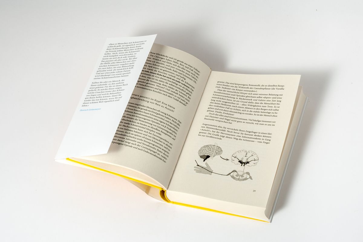 Weitere Ansicht: Schmerzen | Dietrich Grönemeyer